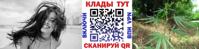 Купить закладку ГАШ  Псилоцибиновые грибы  Кокаин  Мефедрон  Марихуана  Каменногорск