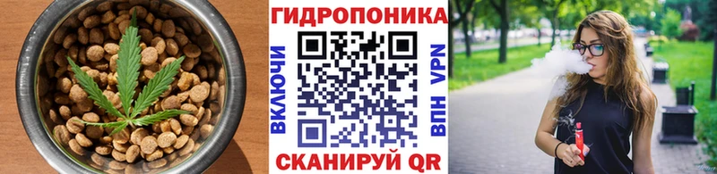 Canna-Cookies марихуана  Купить закладки  Каменногорск 